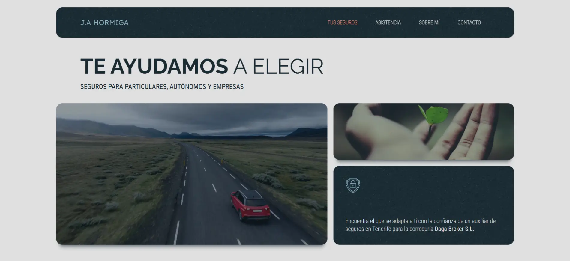Alexis_Seguros